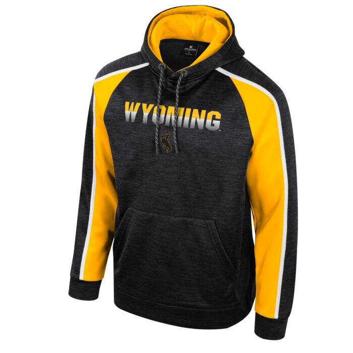 grey and gold hooded sweatshirt with grey body, hood and arms. on inside of arm, gold color blocking from shoulder to wrist. on front wyoming in gold fading to white