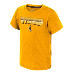 gold short sleeve tee with design center chest. Design is arced wyoming in light gold with a brown light beam effect through center and gold outline. brown bucking horse at bottom