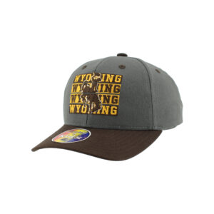 youth brown and grey adjustable embroidered design on front. design in brown and gold wyoming stacked, brown bucking horse overlay