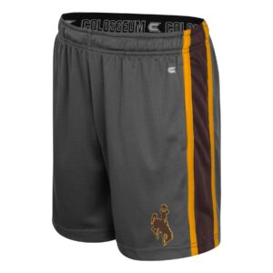 Grey shorts with gold and brown side panel. Brown bucking horse, gold outline, on lower left leg