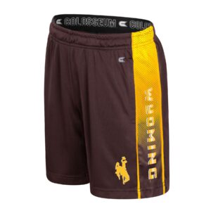 brown and gold youth shorts. brown base with gold stripe detail on both sides. on left hip wyoming down in gold and white