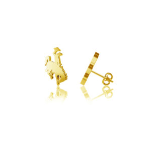 solid gold stud earrings