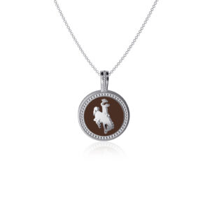 silver and brown coin charm necklace. inside of coin is brown with a silver bucking horse and silver outline