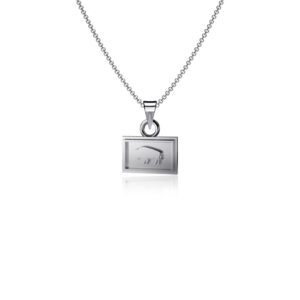 silver state flag charm necklace