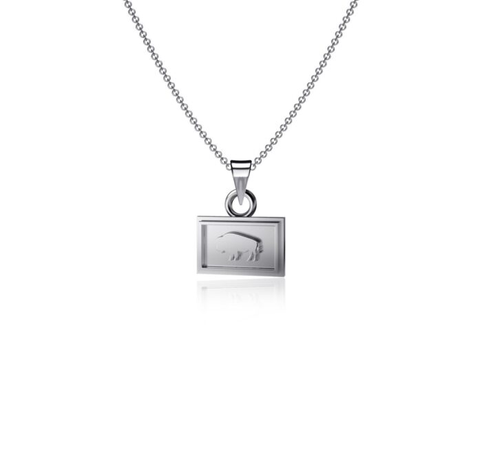 silver state flag charm necklace
