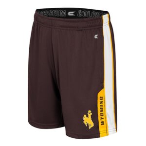 brown athletic shorts with white pinstripe down both sides. has a bucking horse on left thigh and sideways wyoming to the left of that