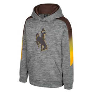 front of grey sweatshirt with gradient panel on both sleeves. has brown screen printed bucking horse center chest. inside of hood is brown