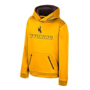 gold youth sweatshirt with brown inside of hood. has brown cowboys on front left of hood. has brown bucking horse above gradient wyoming lettering all center chest