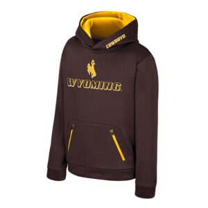 brown youth sweatshirt with gold inside of hood. has gold cowboys on front left of hood. has brown bucking horse above gradient wyoming lettering all center chest