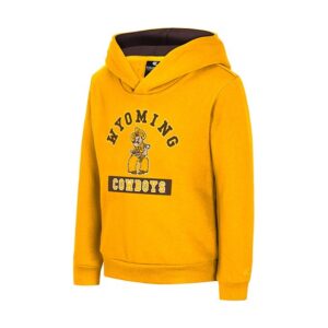 gold hooded sweatshirt with brown inside of hood. has wyoming arched over pistol pete and cowboys lettering below in brown and gold. all center chest