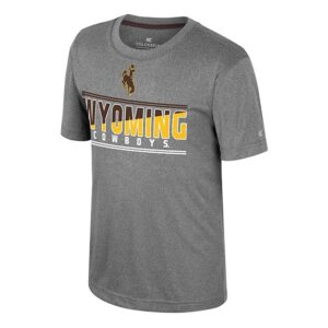 front of youth grey tee with brown bucking horse centered at tip and wyoming lettering below with half brown and half gold fill. has white cowboys lettering below that.
