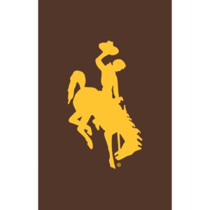 brown garden flag with gold bucking horse on front. dimensions are 12.5 inches x 18 inches