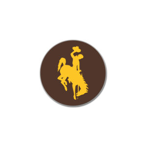 brown 3 inch magnet with gold bucking horse in the middle