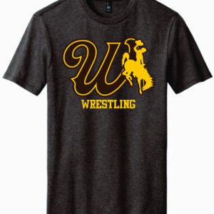 Wyoming Cowboys 2025 Brown Sports Specific Tee - Golf