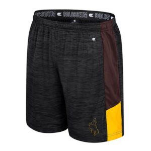 youth charcoal and grey short with brown and gold panel on hips. has black bucking horse with gold outline on left thigh