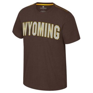 brown short sleeve tee with design center chest. design is grey wyoming lettering with gold outline. has gold stitching on shoulders of shirt