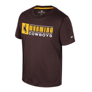 brown youth athletic tee with design center chest. design is gold Wyoming lettering with white cowboys below. has gold block to the left with cut out of bucking horse in the center